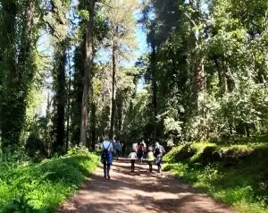 sintra,
