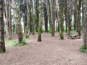 ursa, sintra,