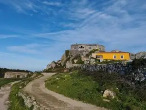 ursa, sintra,