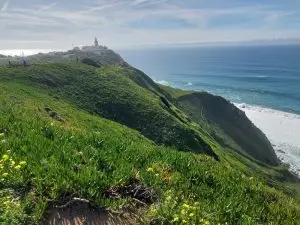 ursa, sintra,