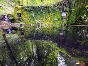20240520_154317