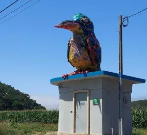 ericeira, lizandro,