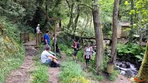 pedra ferida, penela,