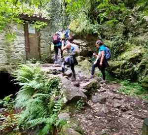 pedra ferida, penela,