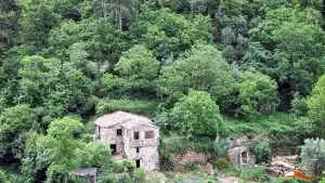 pedra ferida, penela,