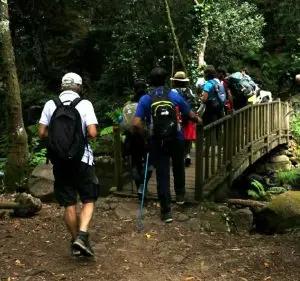 pedra ferida, penela,