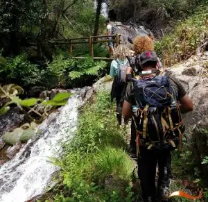 pedra ferida, penela,