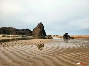 sao pedro de moel,
