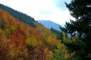 faias, manteigas, serra da estrela,