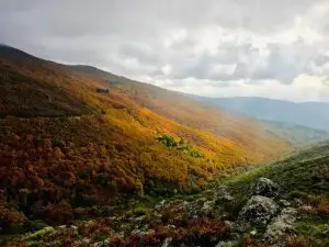 faias, manteigas, serra da estrela,
