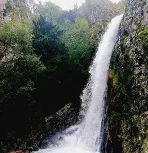 faias, manteigas, serra da estrela,