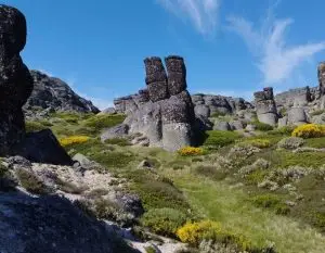 estrela,