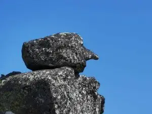 estrela,