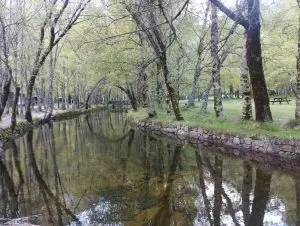 estrela,