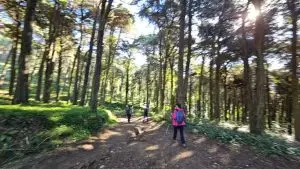 sintra