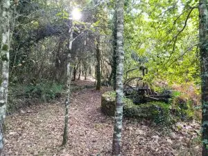 serra do açor, arganil,