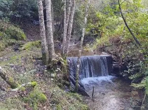 serra do açor, arganil,