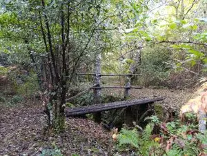 serra do açor, arganil,