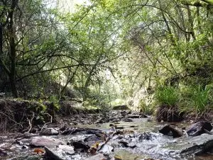 serra do açor, arganil,
