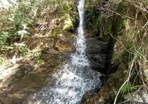 serra do açor, arganil,
