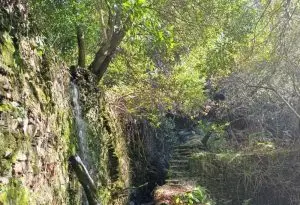 serra do açor, arganil,