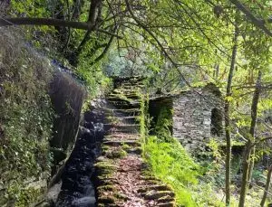 serra do açor, arganil,