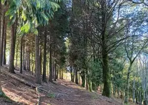 serra do açor, arganil,