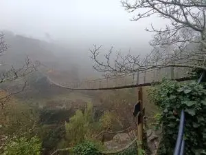 piodão, colcurinho,