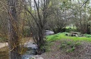 trilho dos gaios, midões,