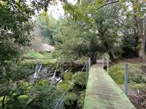 trilho dos gaios, midões,