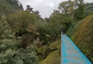 trilho dos gaios, midões,