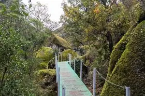 trilho dos gaios, midões,