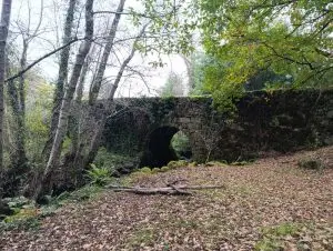 trilho dos gaios, midões,