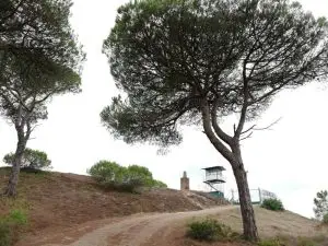 mata dos medos,