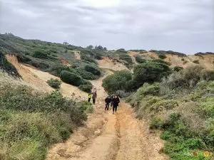 sesimbra, foz,