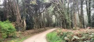 sintra, mula, tholos,