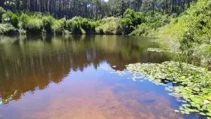 sintra, mula, tholos,