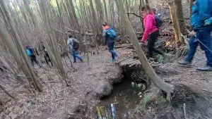 sintra, mula, tholos,
