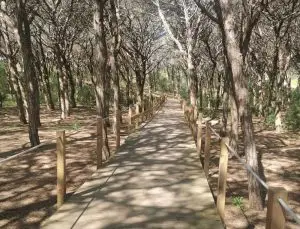 mata dos medos,