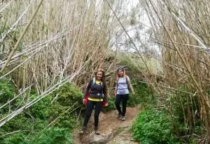 Giribeto