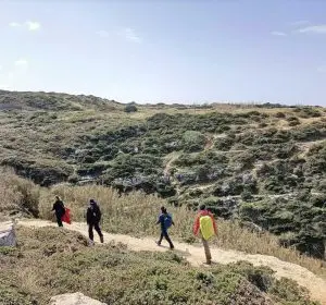 Giribeto