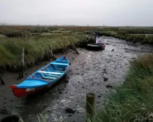 aveiro, pirilampos,