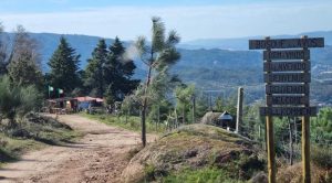 marão, bosque dos avós,