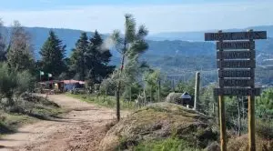 marão, bosque dos avós,