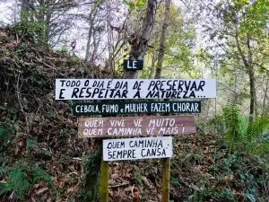 marão, bosque dos avós,