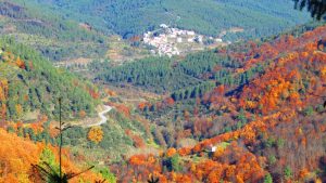 faias, manteigas, serra da estrela,