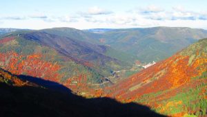 faias, manteigas, serra da estrela,