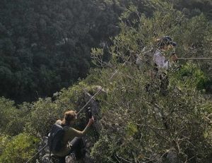 reguengo do fetal, fatima, batalha, caminhada, trekking,