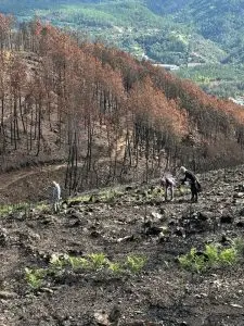 tony, vila cova, serra da estrela,
