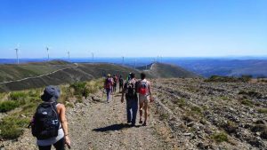 IMG_20200620_161419_1